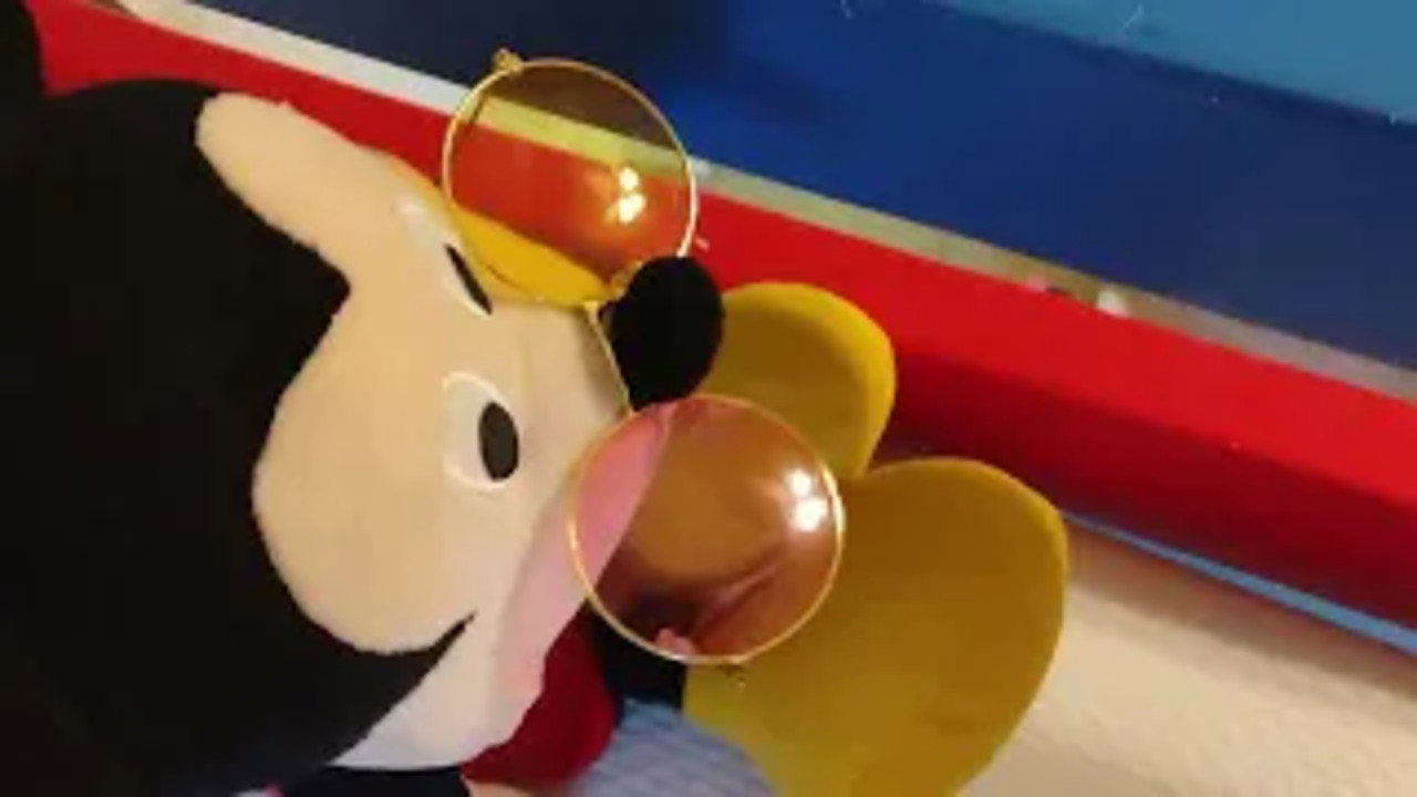 Small Mickey Mouse