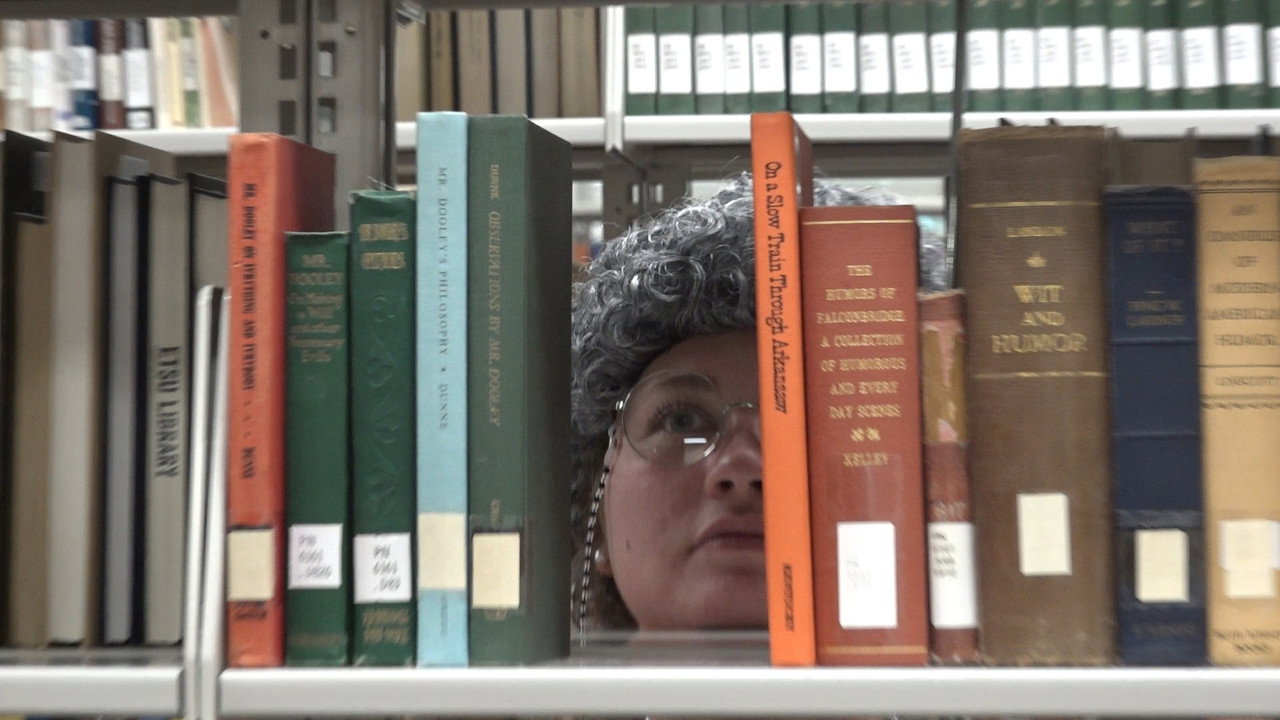 The Librarian Stops the Drug Problem