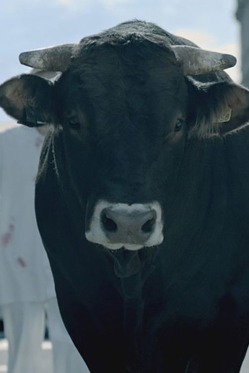The Bull poster