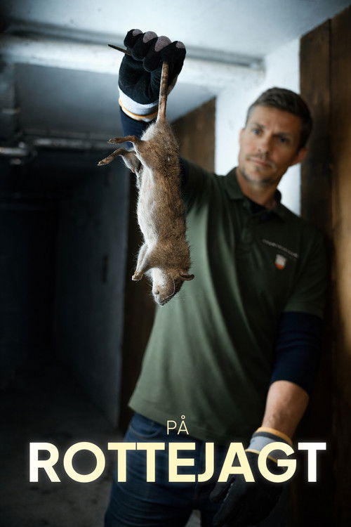 På rottejagt poster