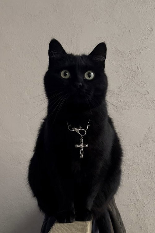 Jonsi